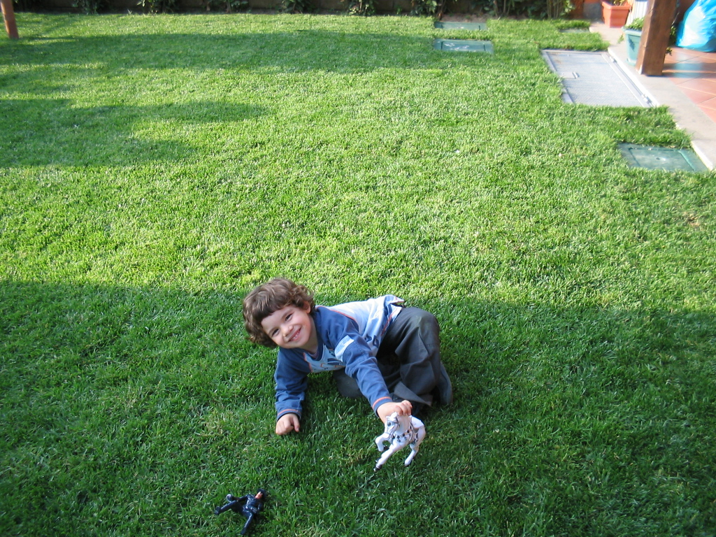 Foto n.